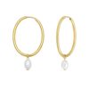 Pearl Drop Oval Earrings in 14K Yellow Gold