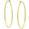 Large Golden Hoop Earrings