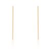 Carolee Gold Stainless Steel Line Drop Earrings