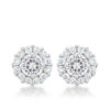 Bella Bridal Earrings in Clear