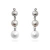 Multicolor Pearl Earrings