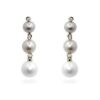 Multicolor Pearl Dangles